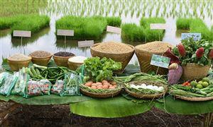 新东方新成立公司含农产品销售业务农产品行业现状及前景分析