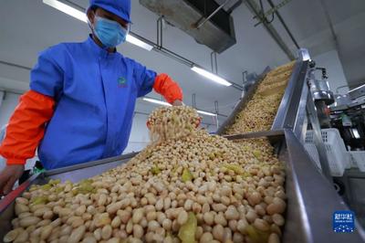 贵州绥阳:特色农产品产业助农增收