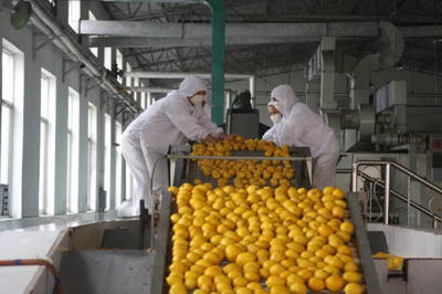 54万亩!安岳柠檬领跑“川果”品牌,产值超百亿元