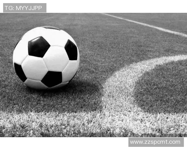 陈伟篮球生涯的回顾与展望：从球场到人生的对话分享